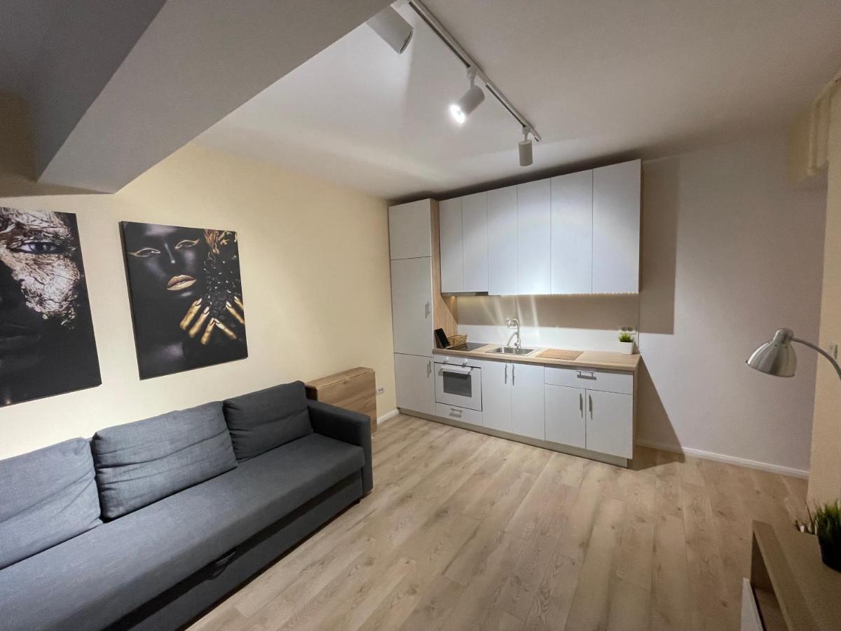 בוקרשט Riverside Luxury Apartment Near President Palace מראה חיצוני תמונה